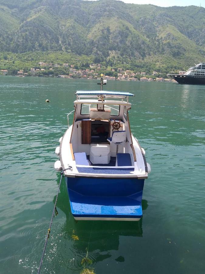 Apartment Kralj Kotor Ngoại thất bức ảnh